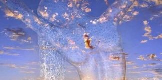 Le Conseil – En réponse à quelques questions #7